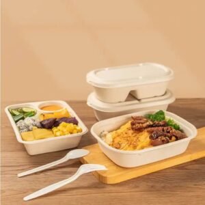 Eco-Friendly Food Containers